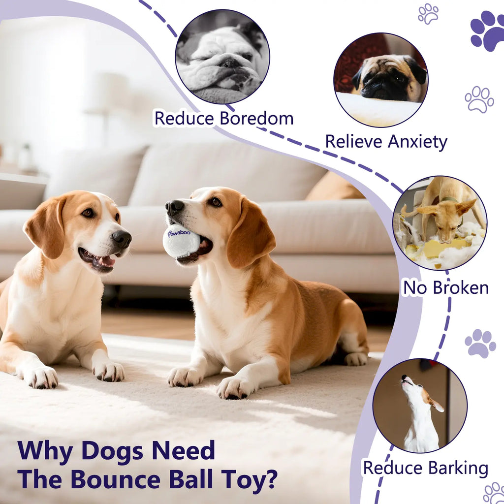 Durable Dog Balls for Aggressive Chewers - Indestructible Teething Tennis Balls for Interactive Play - High Bounce Fetch Toy for Dogs of All Sizes