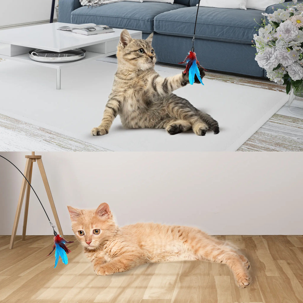 Interactive Cat Toy Wand with 10-in-1 Hands-Free Natural Bird Feather Ball and Suction Cup for Indoor Play