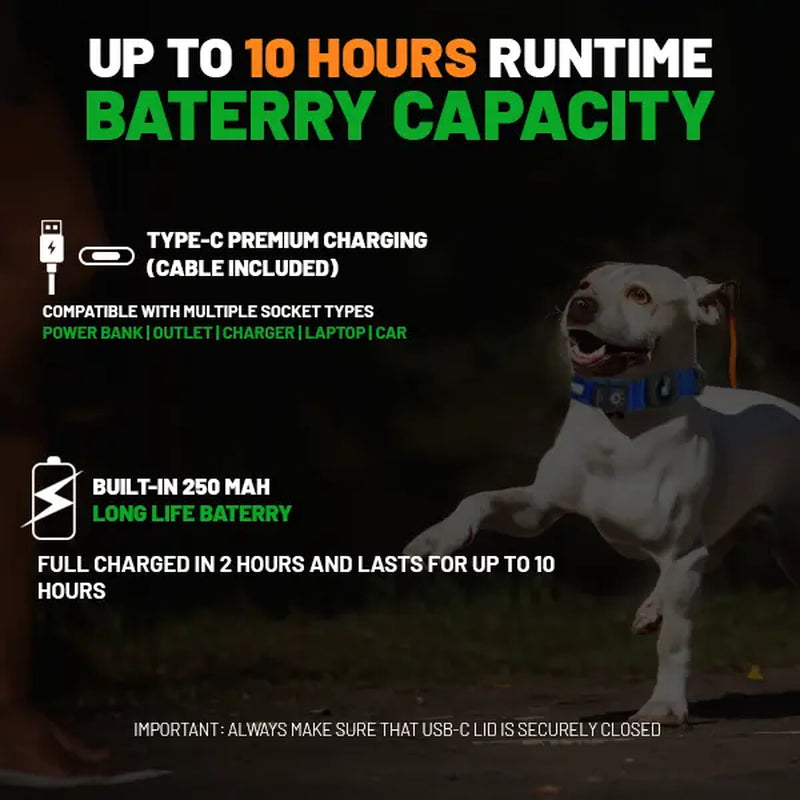 LED Dog Collar with AirTag Holder - Rechargeable, Waterproof, Adjustable, Soft, and Reflective Design