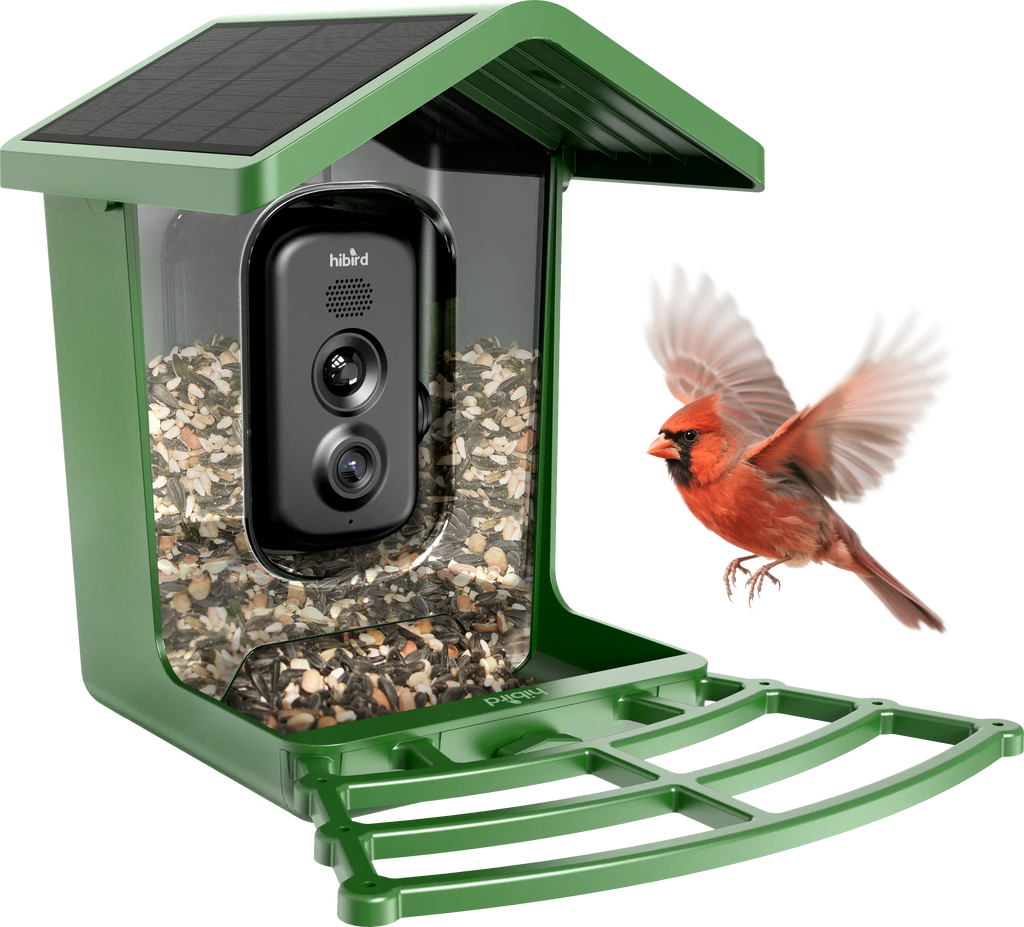 Hibird Pro 4K Smart Bird Feeder