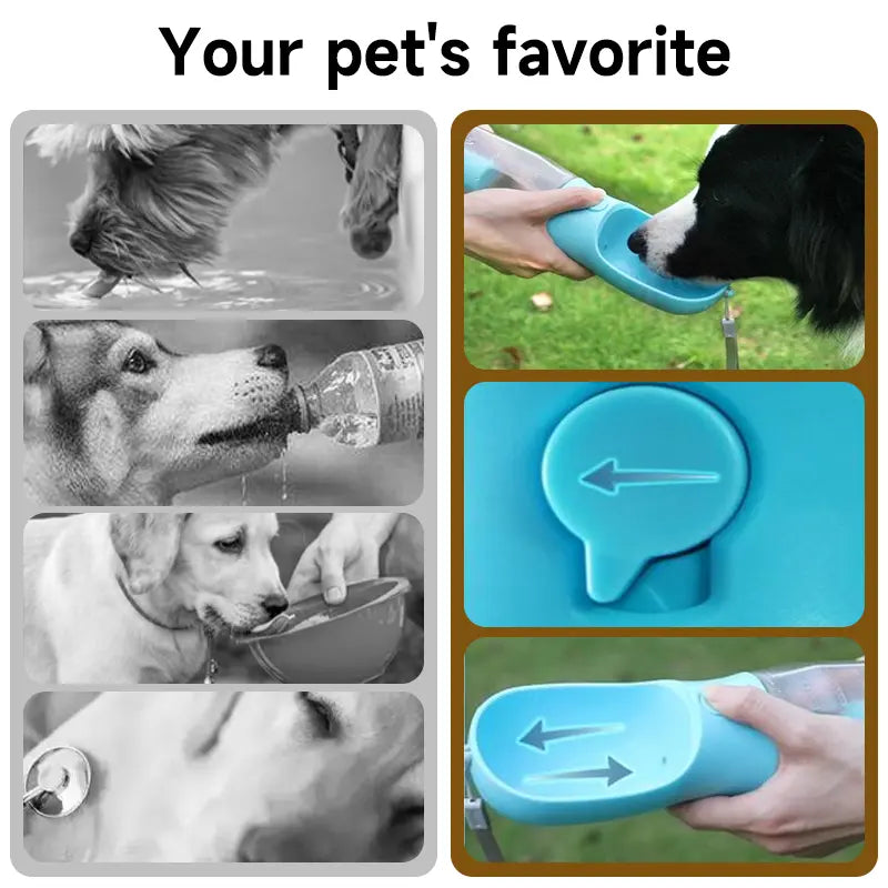 3-in-1 Portable Water Bottle for Dogs with Food Container and Waste Bag Holder - Blue, 20Oz, Ideal for Outdoor Activities and Travel