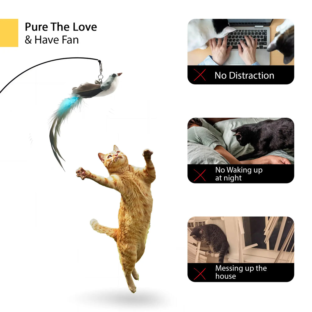 Interactive Cat Toy Wand with 10-in-1 Hands-Free Natural Bird Feather Ball and Suction Cup for Indoor Play