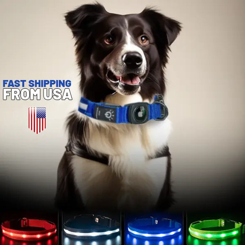 LED Dog Collar with AirTag Holder - Rechargeable, Waterproof, Adjustable, Soft, and Reflective Design