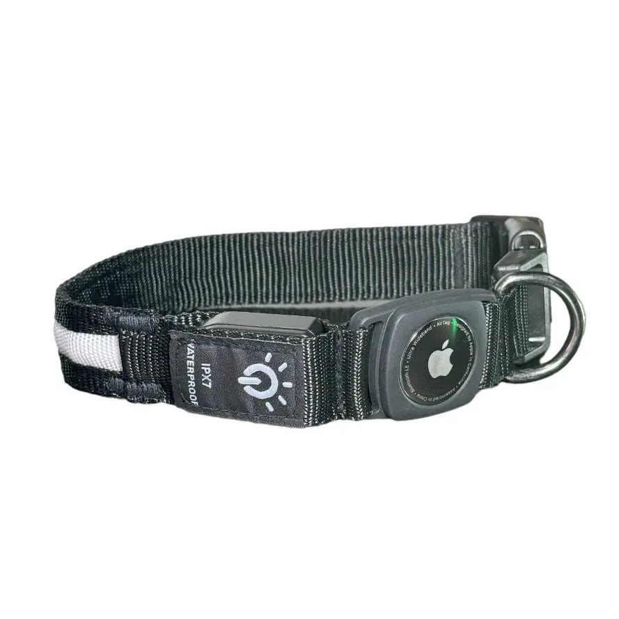 LED Dog Collar with AirTag Holder - Rechargeable, Waterproof, Adjustable, Soft, and Reflective Design