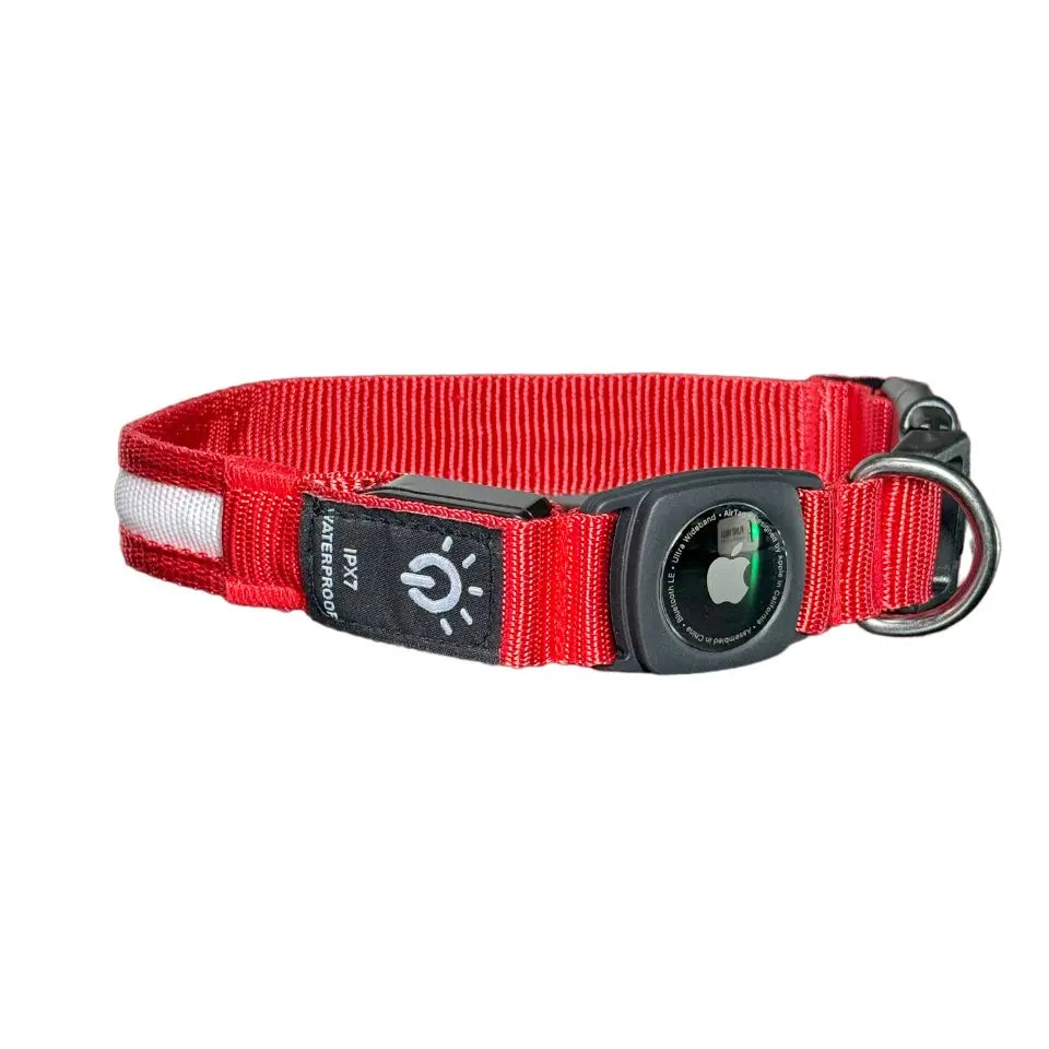LED Dog Collar with AirTag Holder - Rechargeable, Waterproof, Adjustable, Soft, and Reflective Design