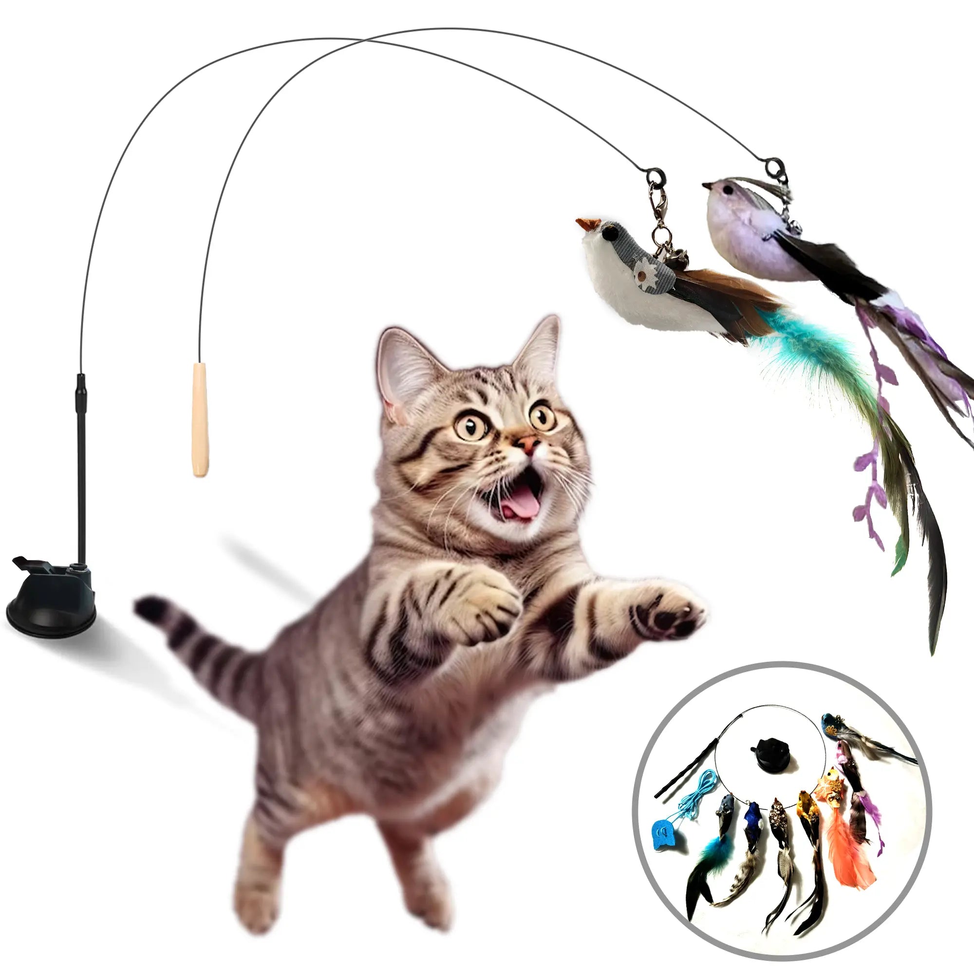 Interactive Cat Toy Wand with 10-in-1 Hands-Free Natural Bird Feather Ball and Suction Cup for Indoor Play