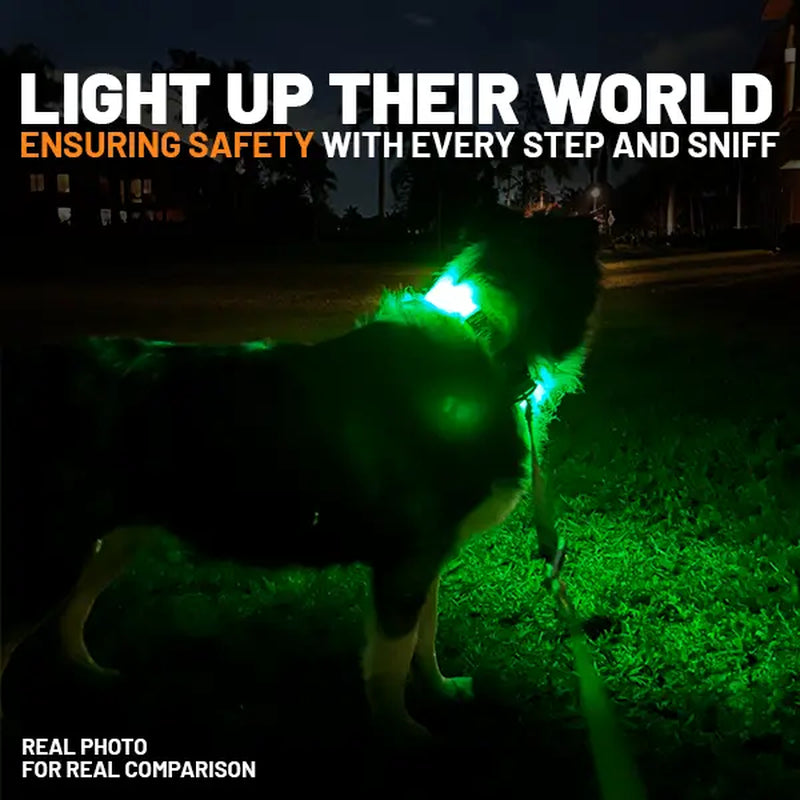 LED Dog Collar with AirTag Holder - Rechargeable, Waterproof, Adjustable, Soft, and Reflective Design