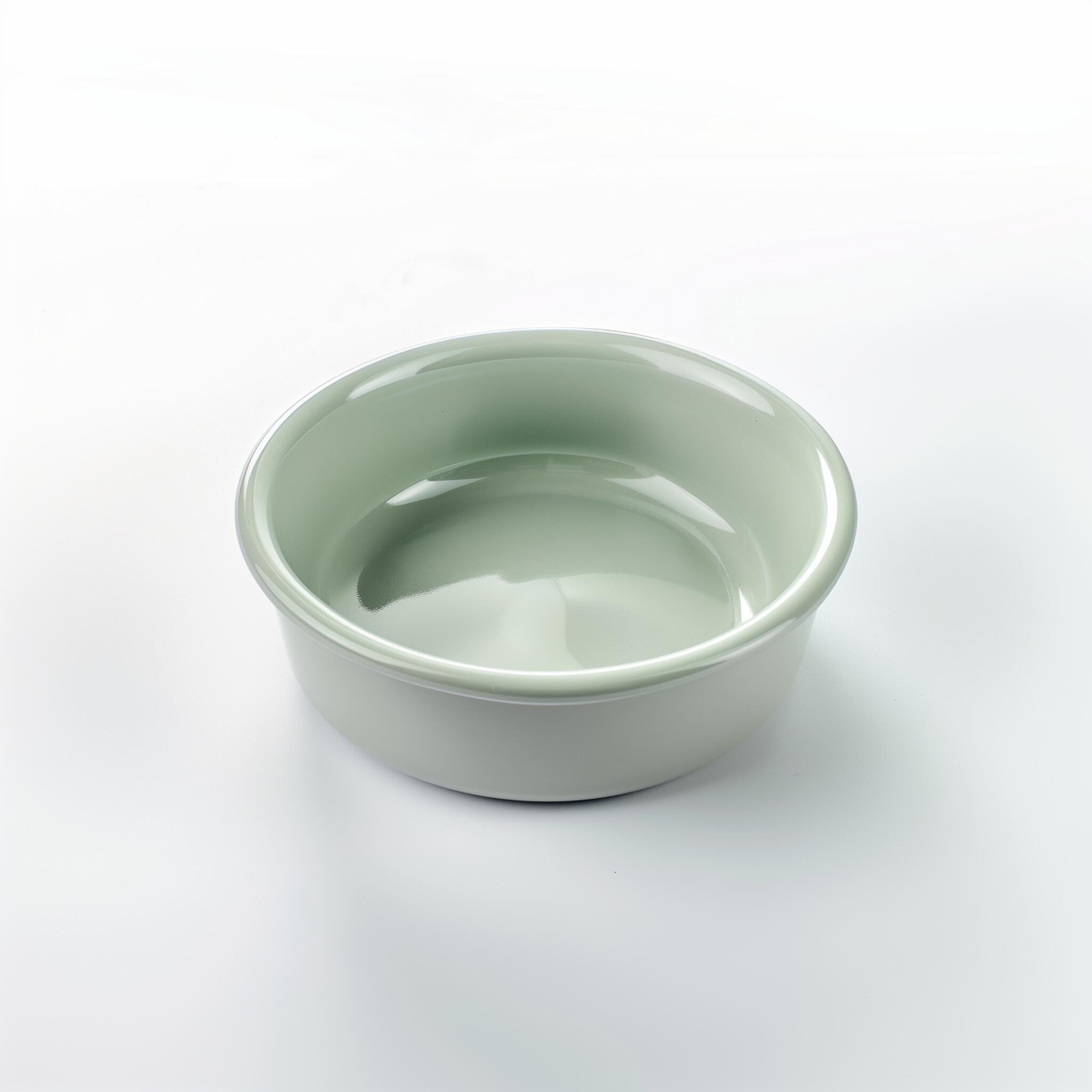 Food bowl